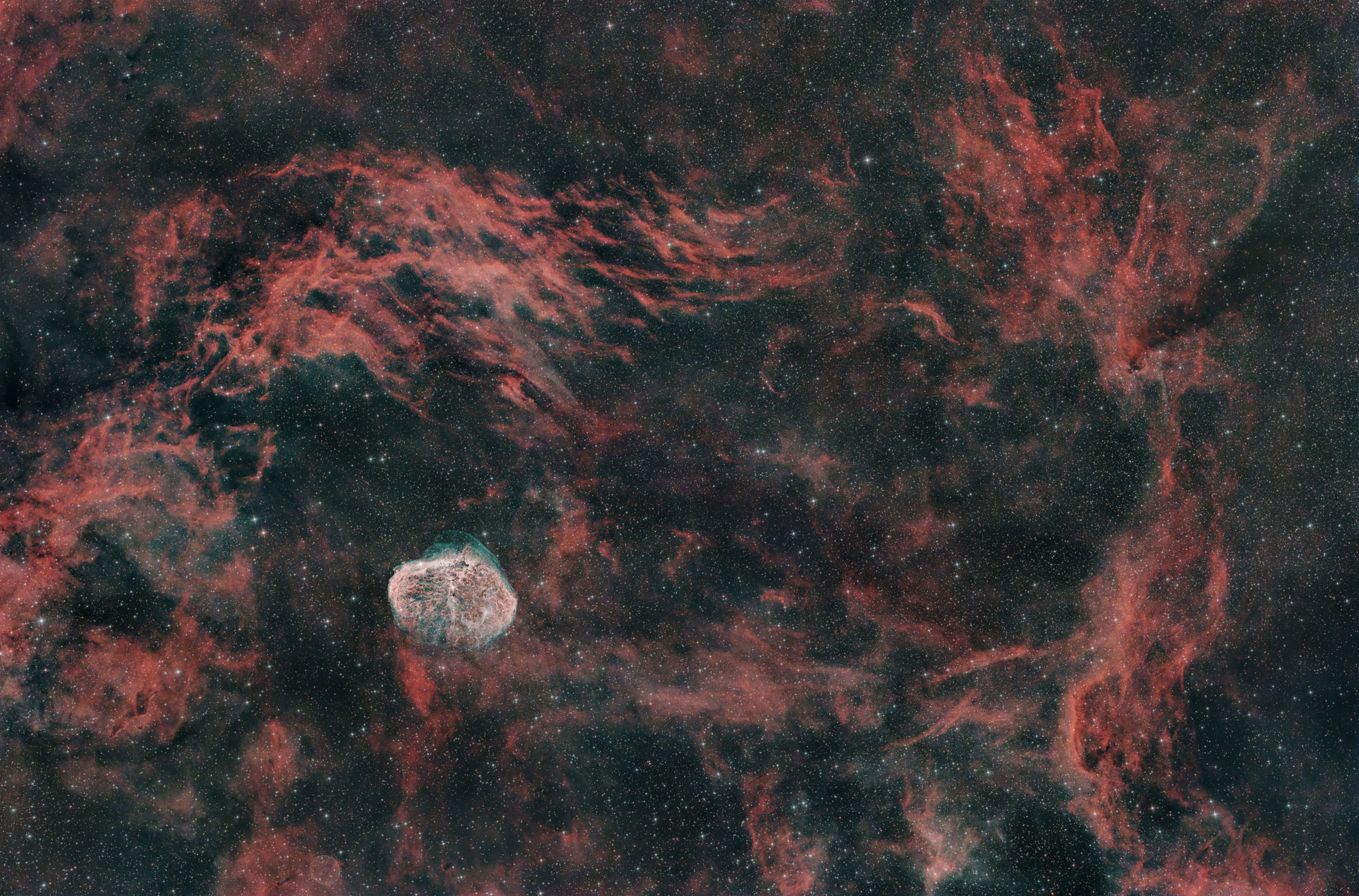 The Crescent Moon Nebula NGC 6888 is a peculiar emission nebula in the constellation Cygnus, excited to glow by the Wolf-Rayet star at the nebula's center.